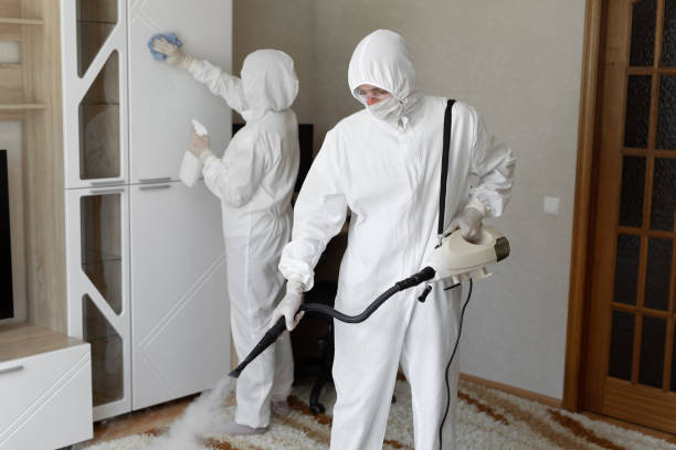 Best Post-Flood Mold Remediation in Gaylord, MI